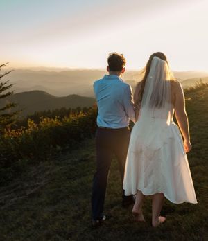 a couple stands with their backs to the camera, in their wedding clothing, looking out at the Blueridge Mountains on the parkway