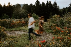 a couple runs and appear blurred on the blue ridge parkway in Western North Carolina just outside of Asheville