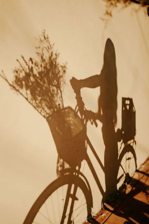 the shadow of a woman on her bike with flowers in the basket is cast onto a white wall in Western North Carolina near Asheville