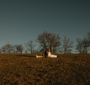 two brides sitting back to back with a large tree in the background