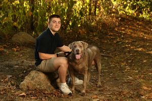 Young man in black polo sits on a rock with a Weimaraner dog in a wooded autumn setting.