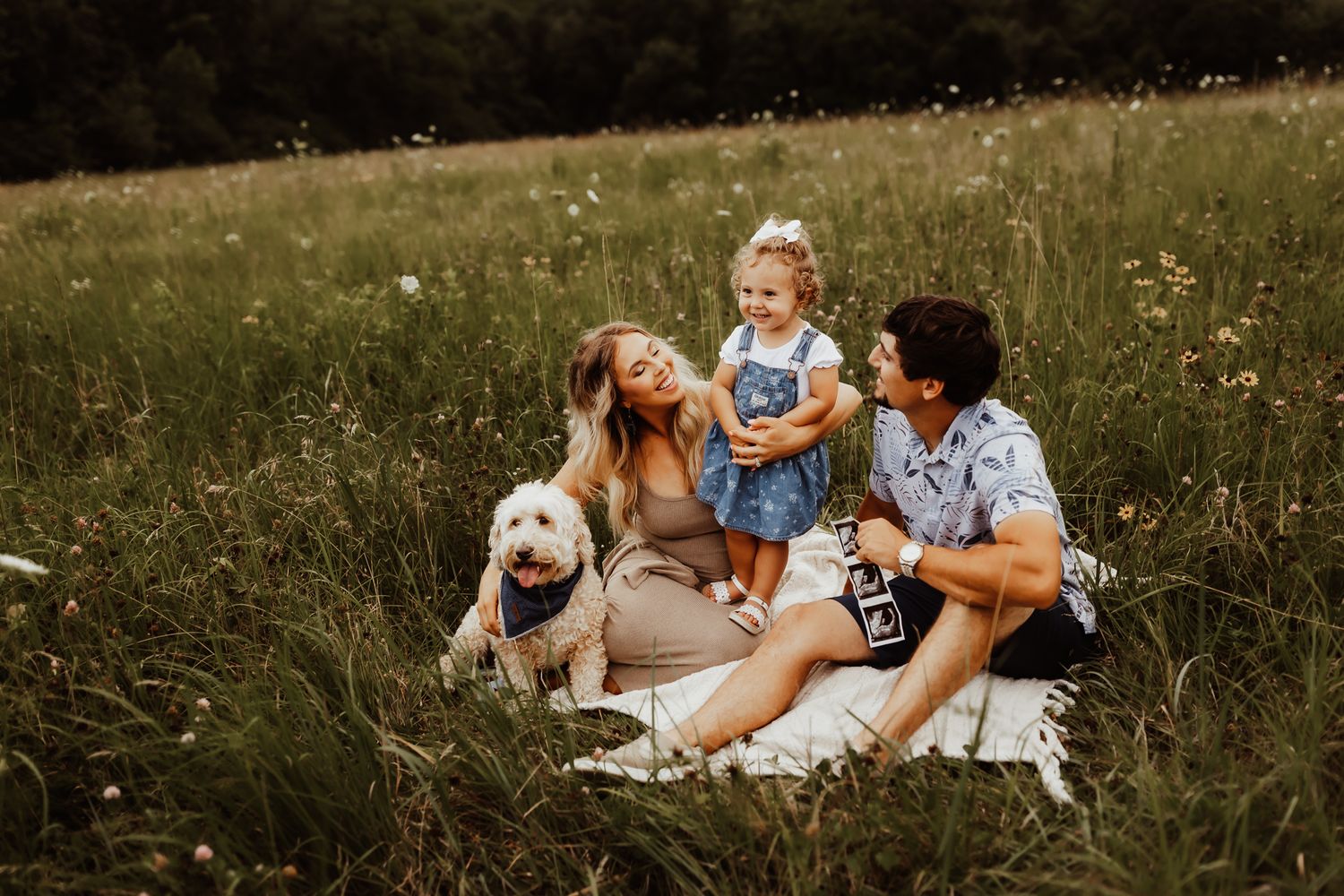 A joyful family with a pregnant mother, father, toddler daughter, and golden dog relaxing in a wildflower meadow.