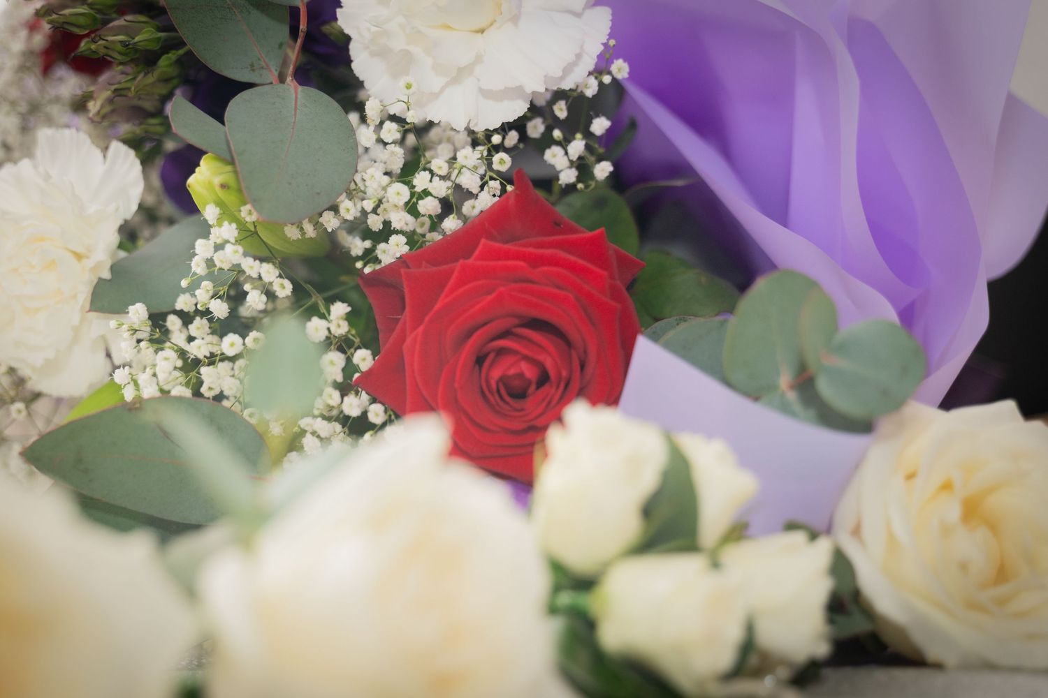 A vibrant red rose nestled among white roses and baby's breath with eucalyptus leaves and purple accents.
