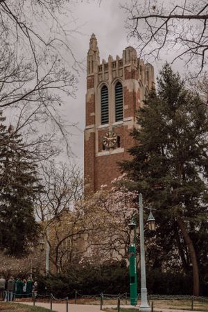 Michigan Senior Photographer Lansing Michigan Michigan State University
