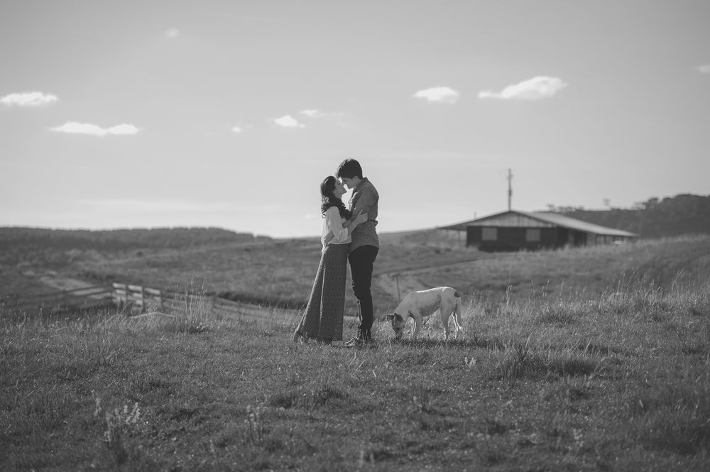 A black and white countryside portrait with a dog standing nearby on rolling hills.