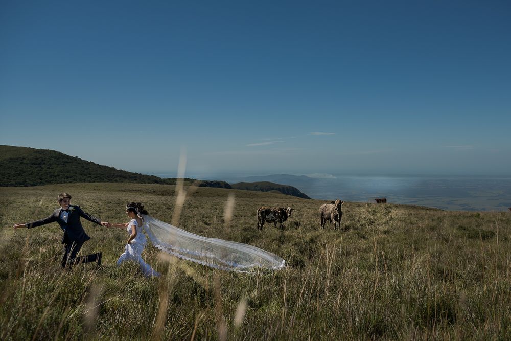 A wedding veil flows dramatically in the wind on a hilltop landscape.