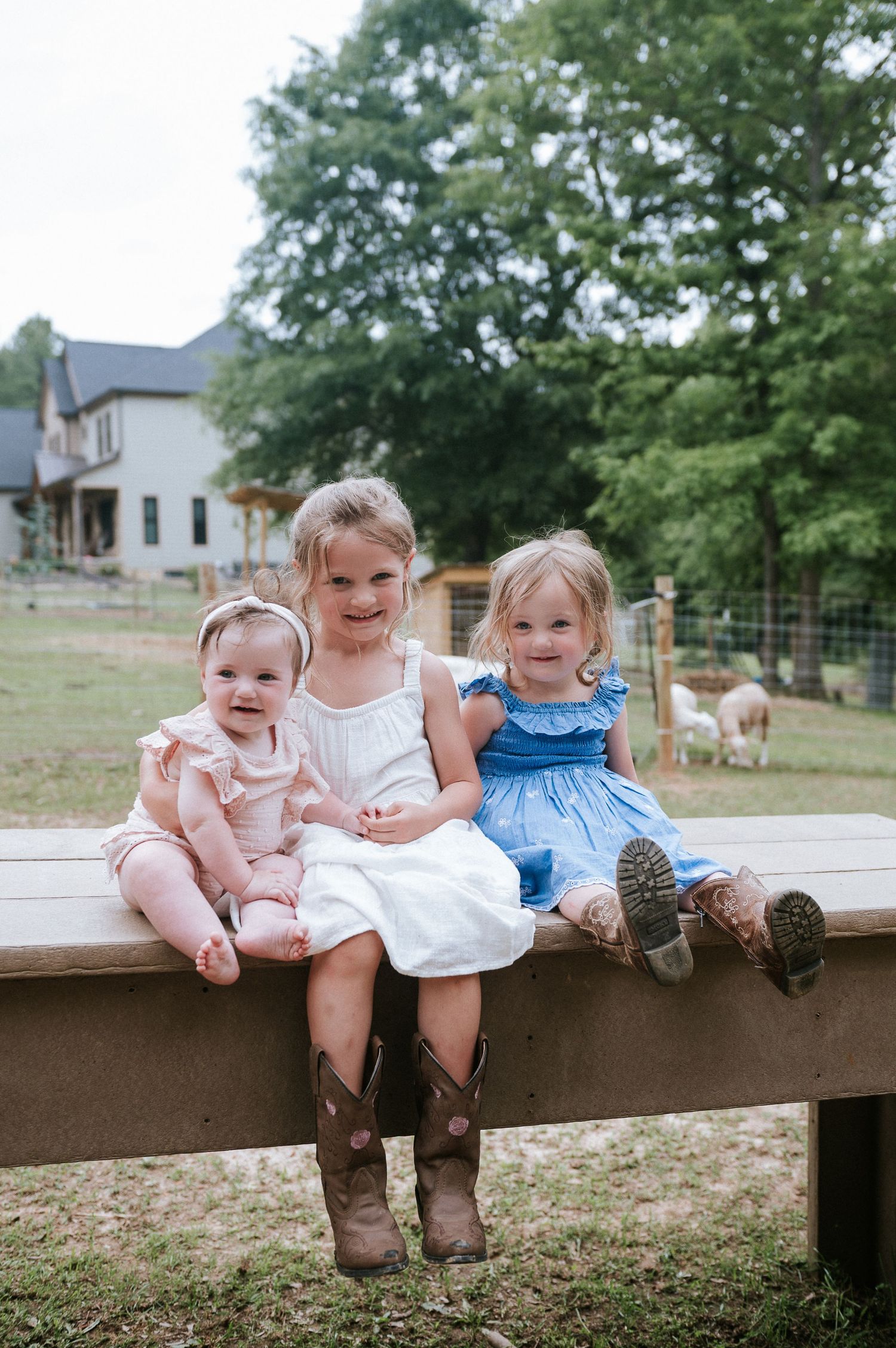 Children sitting together on wooden fence wearing casual clothes and cowboy boots.