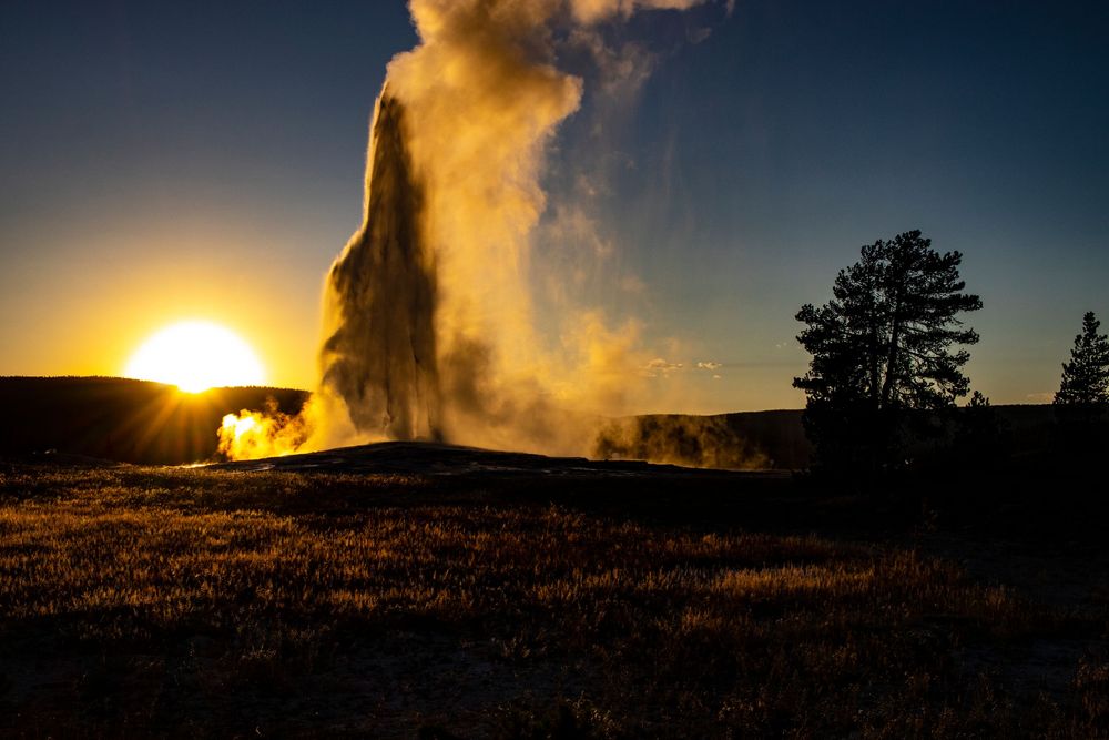 Old Faithful geyser erupts dramatically at sunset in Yellowstone National Park.