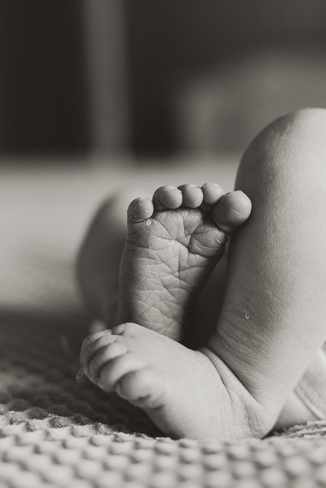 Lifestyle Newborn Portrait session