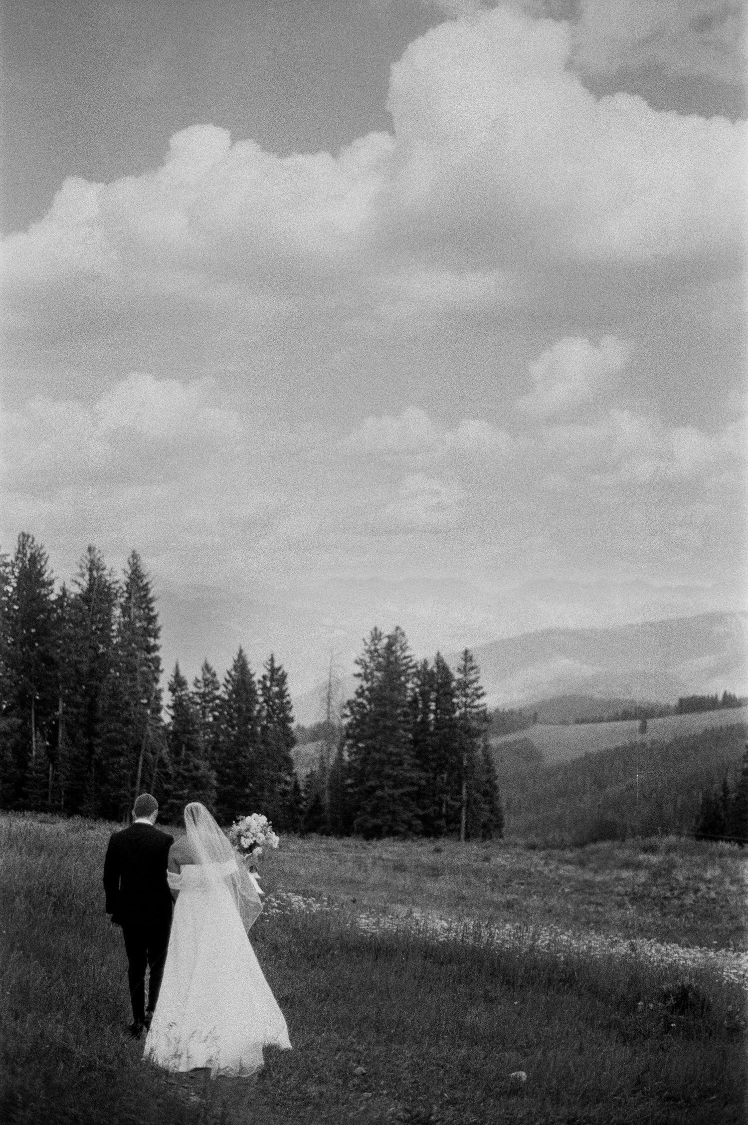 Black and white wedding photos showing a couple walking through a mountain meadow with pine trees.