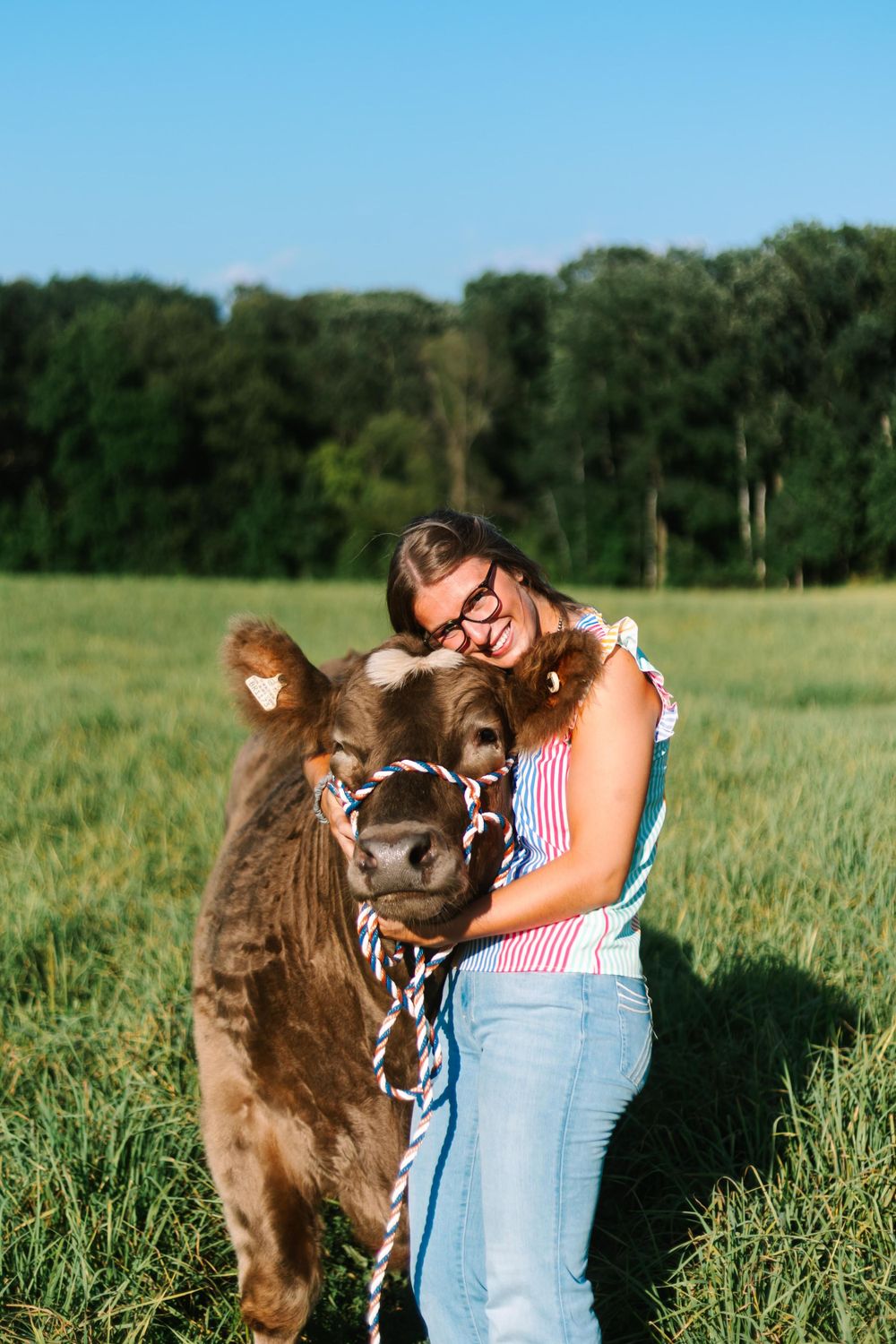 A person in casual attire hugs a brown calf wearing decorative halter in a sunny green field.