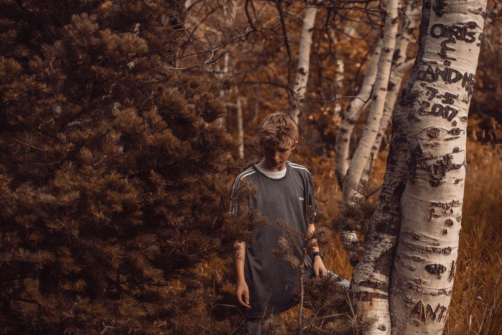 Person hiking through a scenic autumn forest with white birch trees and golden foliage along a dirt trail.
