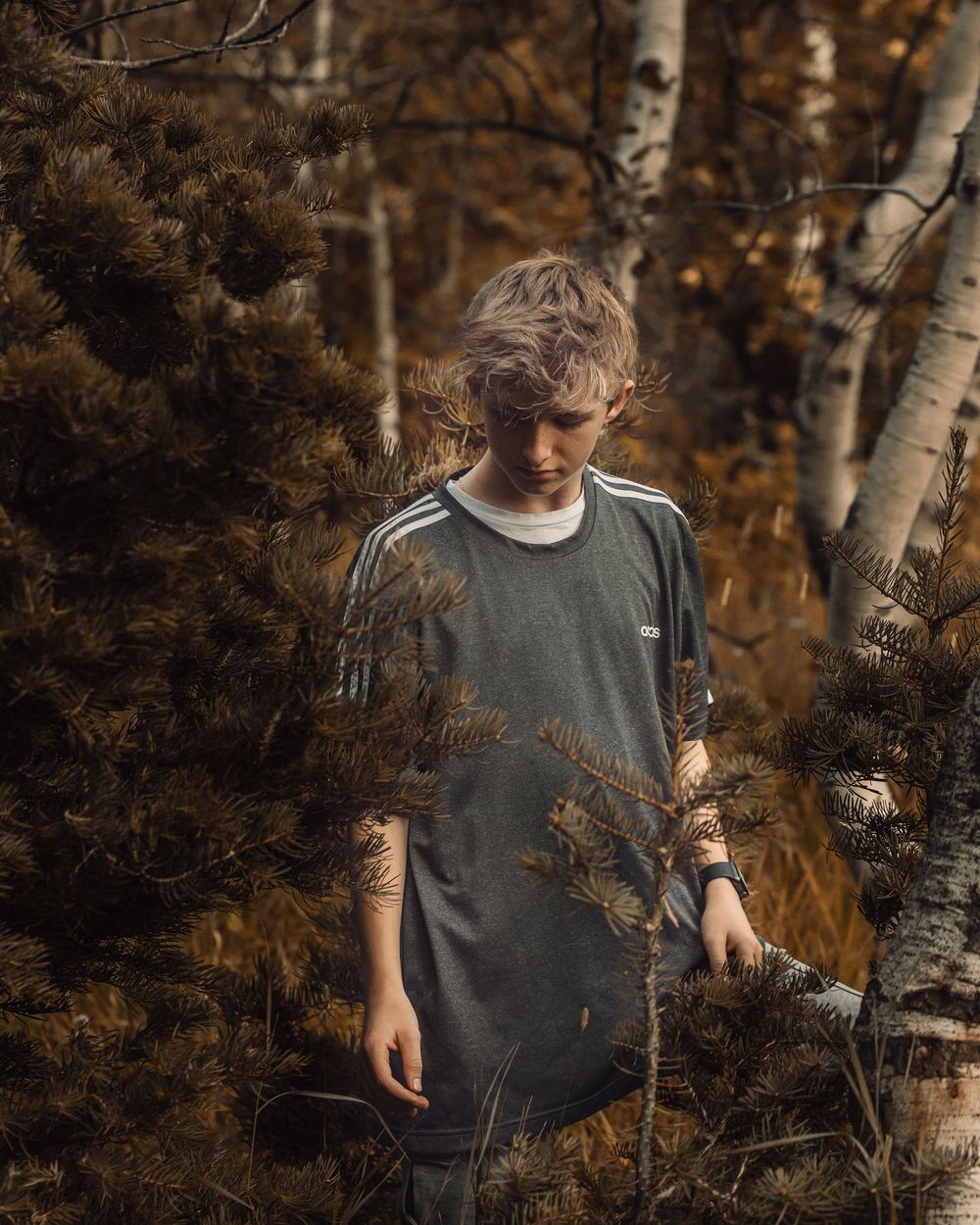 Person in a gray t-shirt stands among birch trees in a moody autumn forest setting with golden light filtering through.
