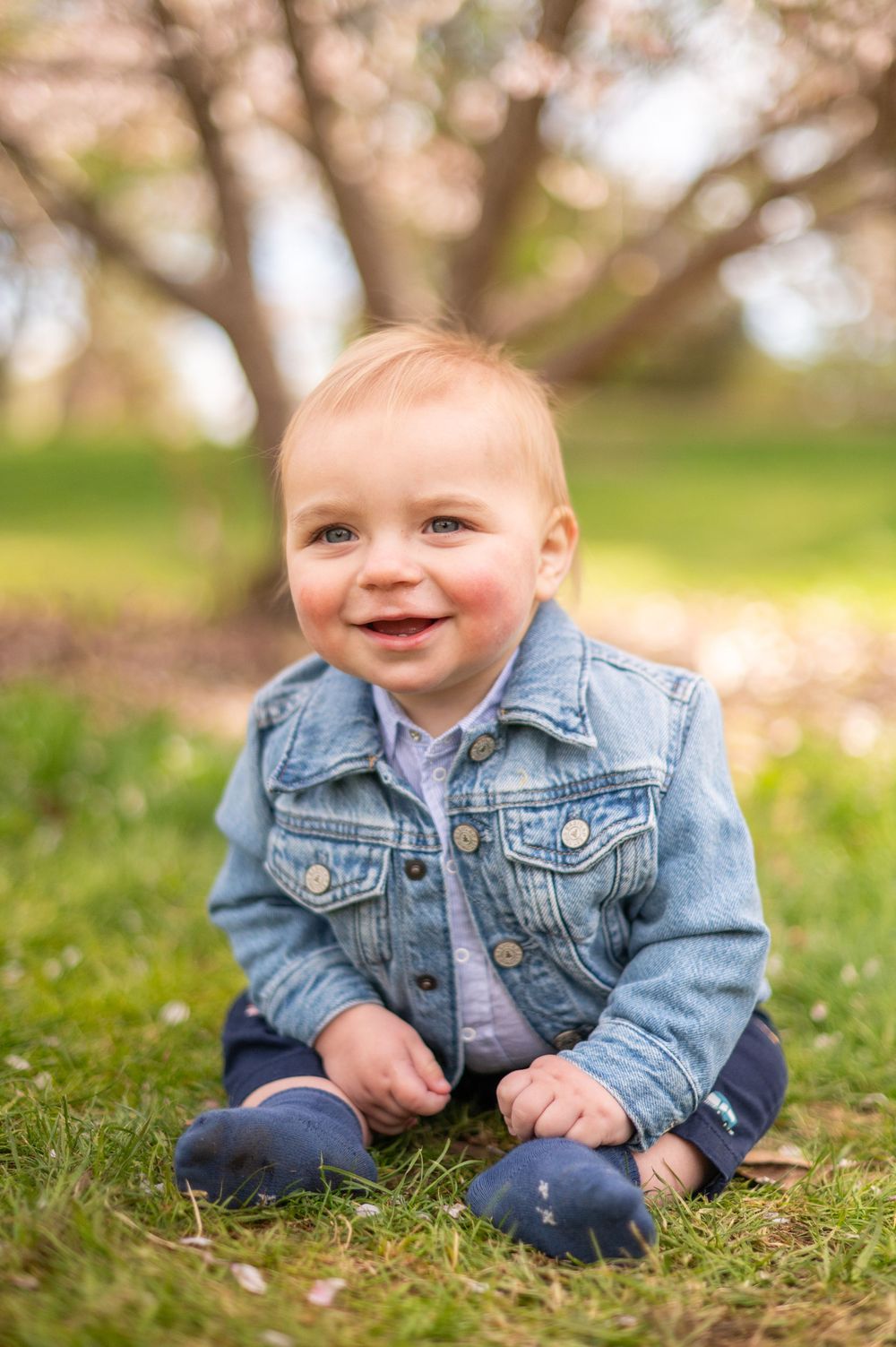 Smiling baby in denim jacket sitting on green grass outdoors with blooming tree in background.