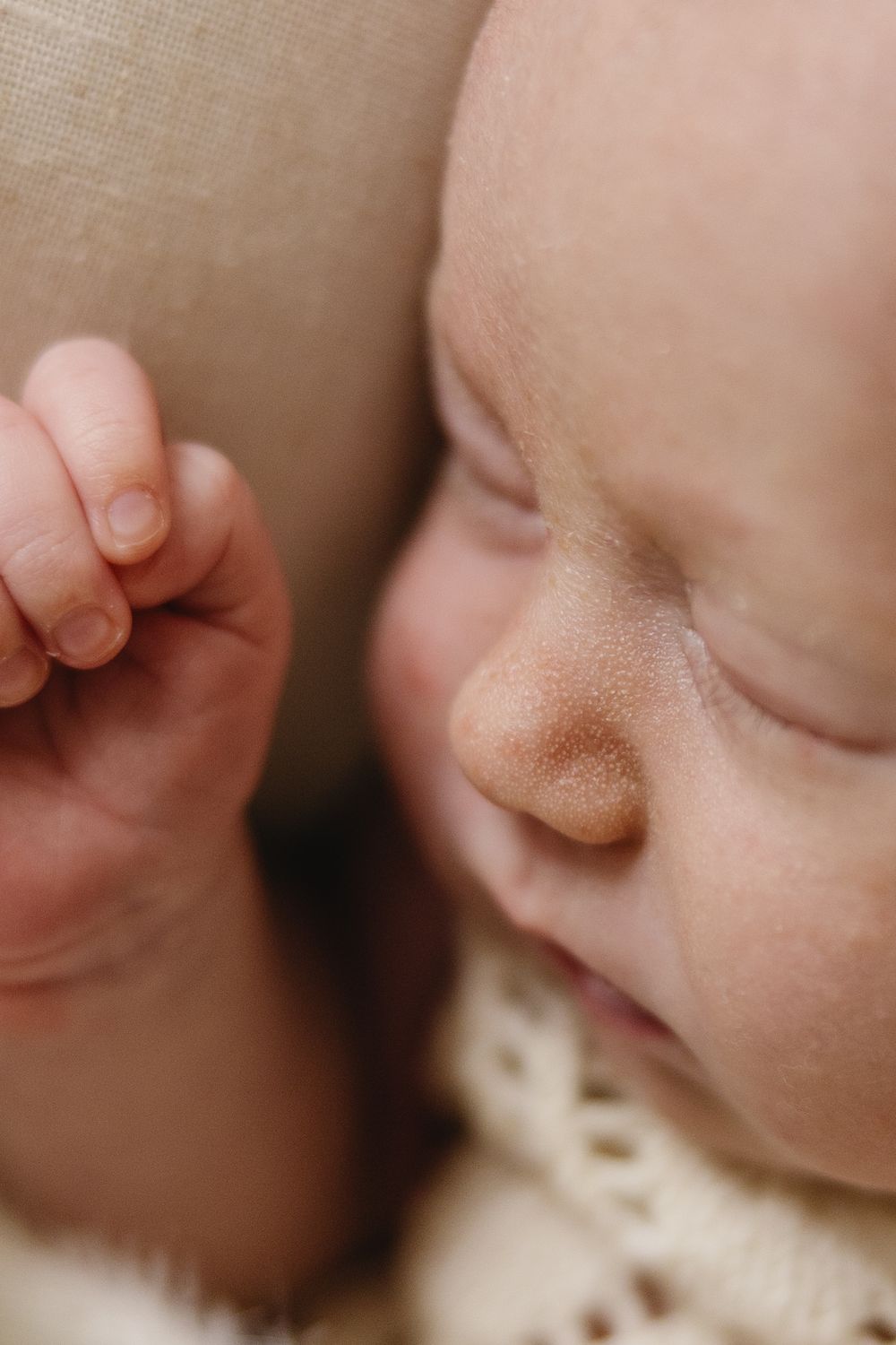 Close-up macro photo showing a row of baby noses in soft focus creating a repeating pattern effect.