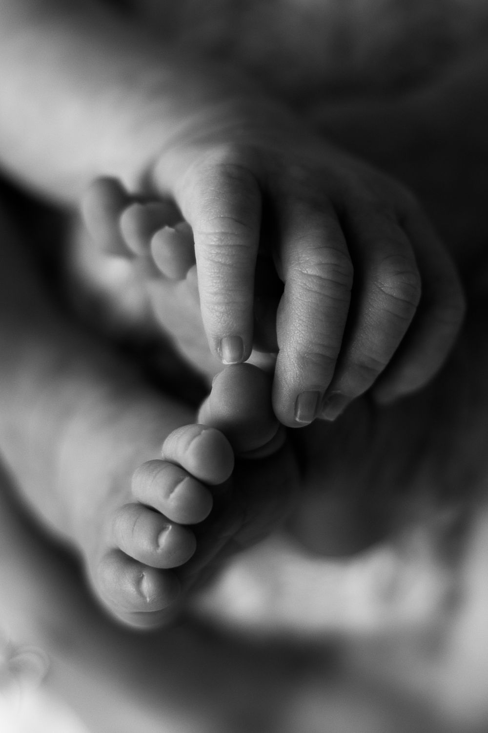 Close-up black and white photograph of tiny baby toes in soft focus.