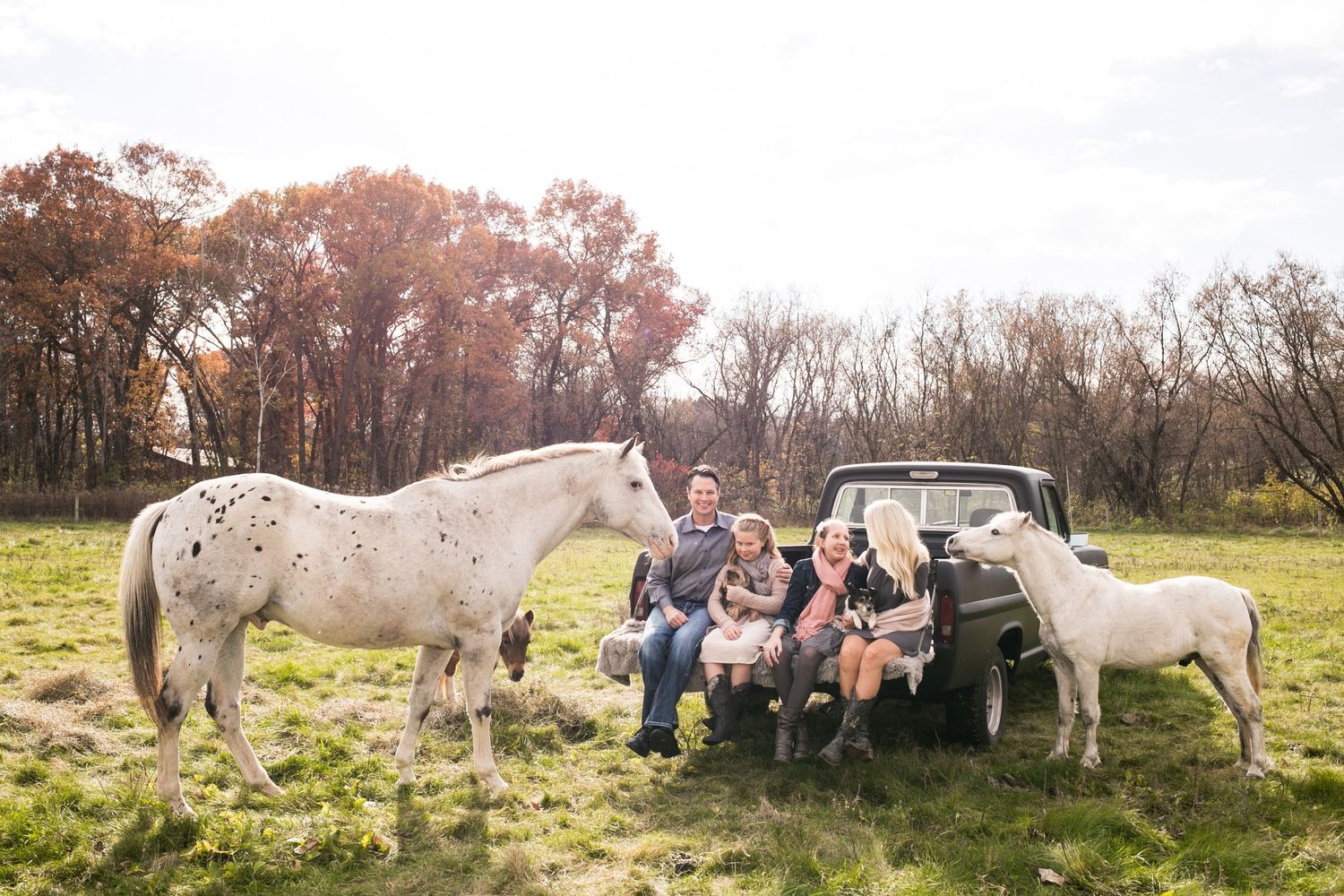 Family posing on a vintage truck tailgate with two horses grazing nearby in a fall pasture.