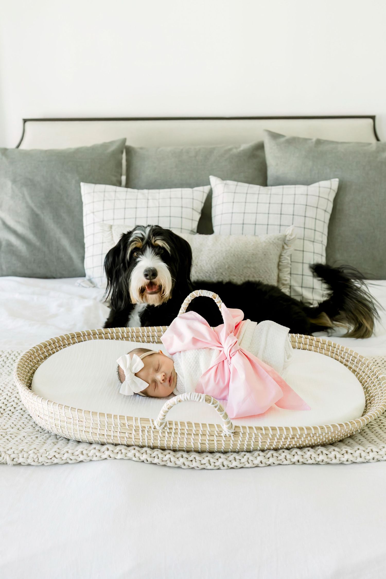 Black and white dog watches over sleeping baby in moses basket on bed.