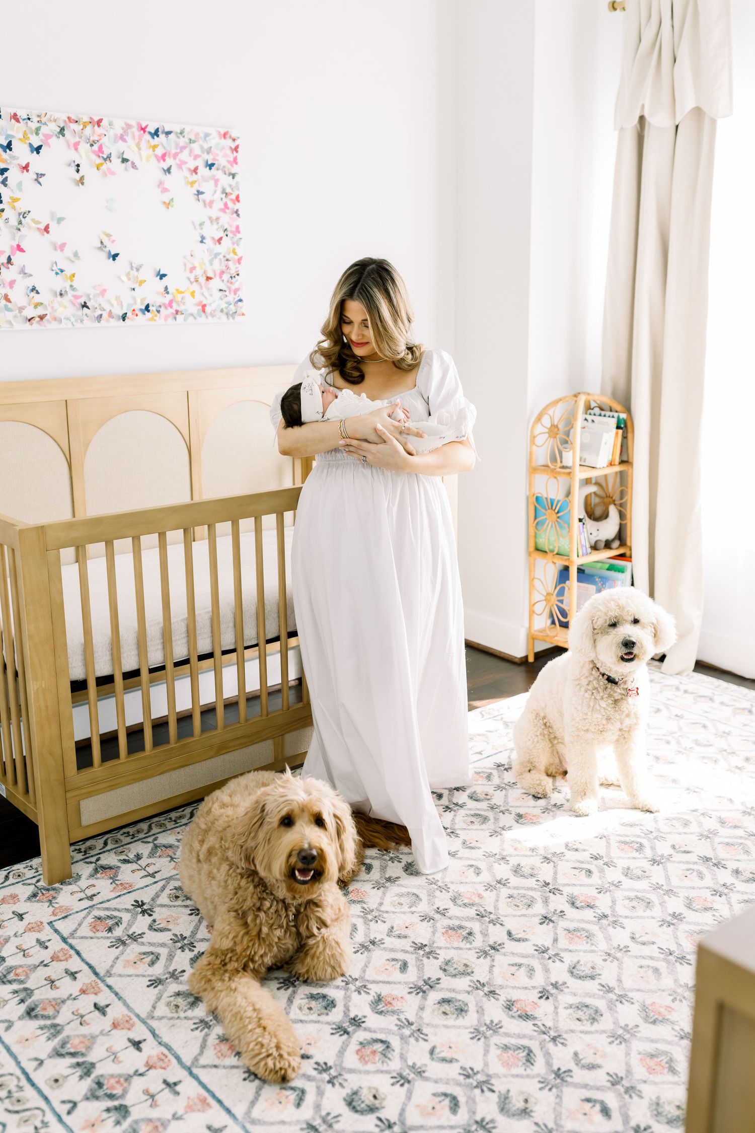 A peaceful nursery scene with two dogs and a parent holding a newborn.