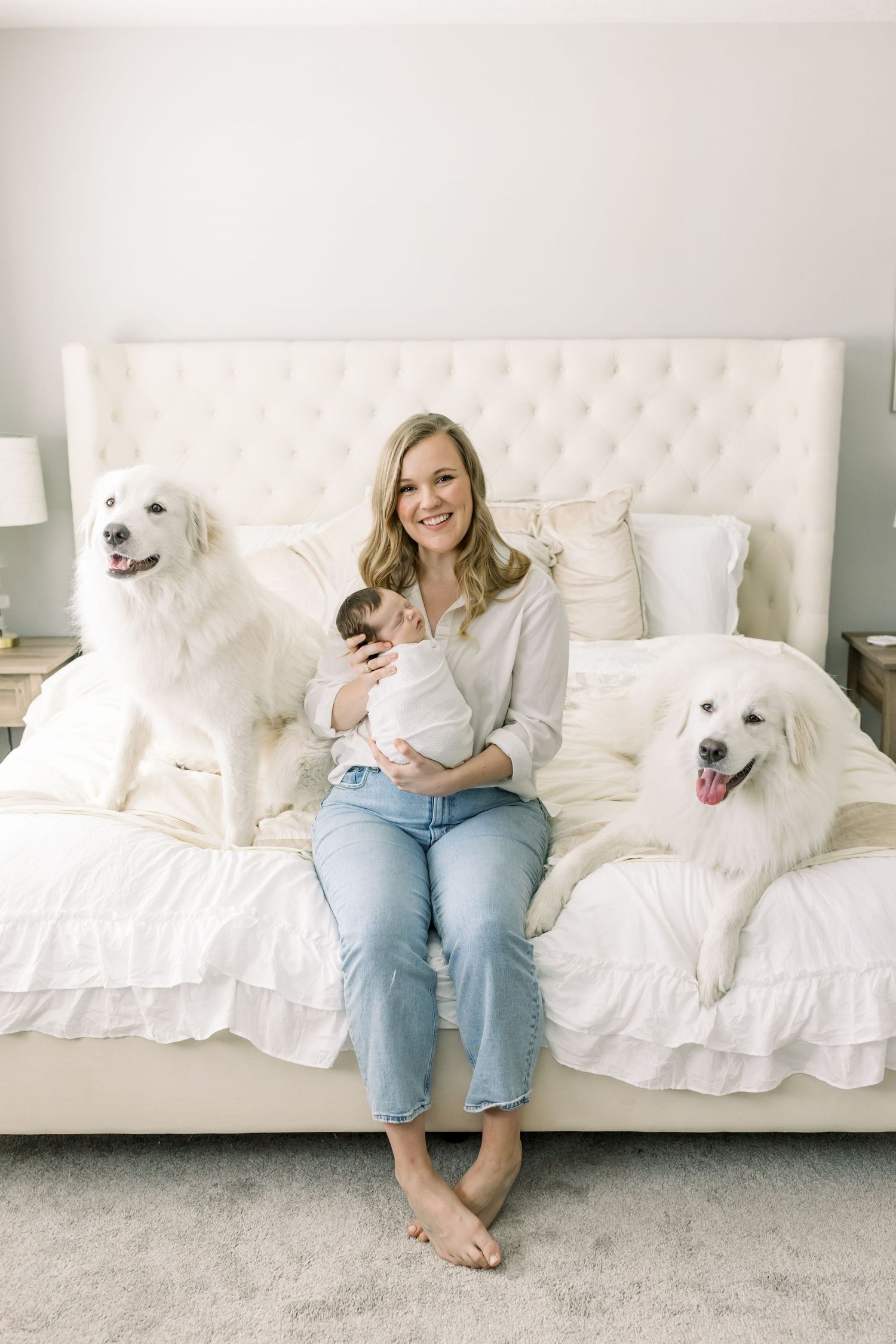 A cozy bedroom scene with two white dogs and a baby on a tufted headboard bed.