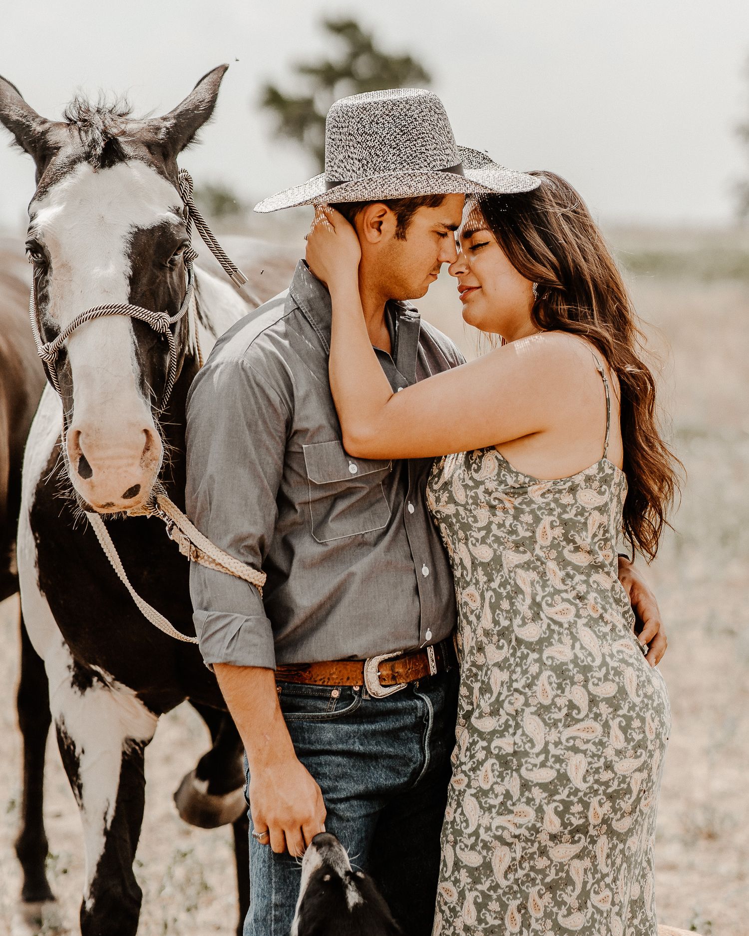 A romantic couple shares an intimate moment in front of a black and white horse in a rustic outdoor setting.