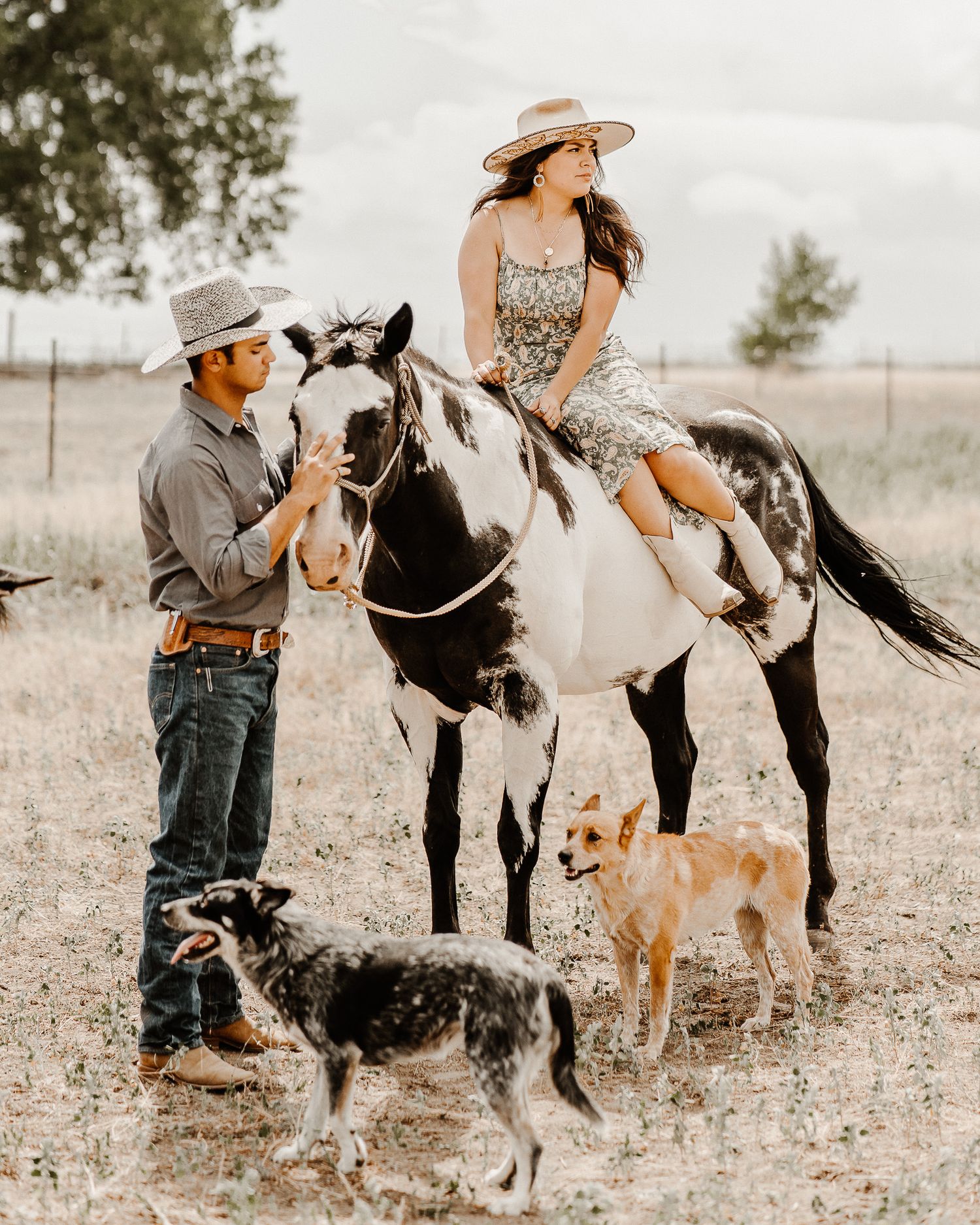 Western-style photoshoot with a horse, dogs, and couple in country attire on a rustic field.