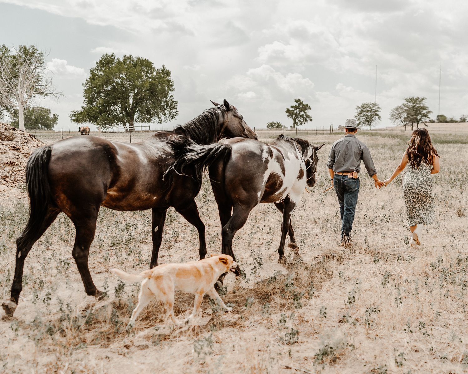 Couple walks through tall grass field with two horses and a dog on rustic countryside path.