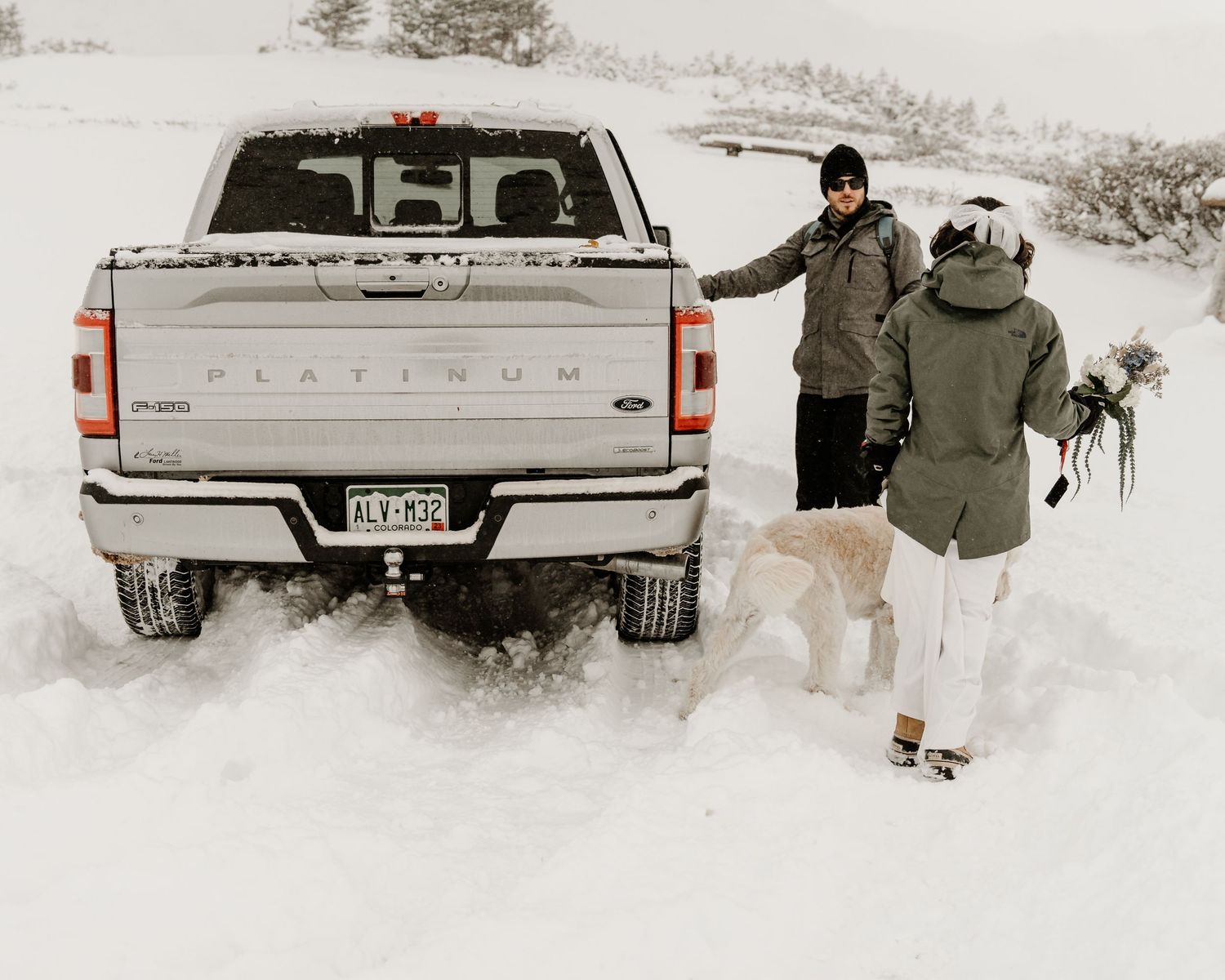 A silver Platinum pickup truck parked in snowy conditions with people and a dog standing beside it.