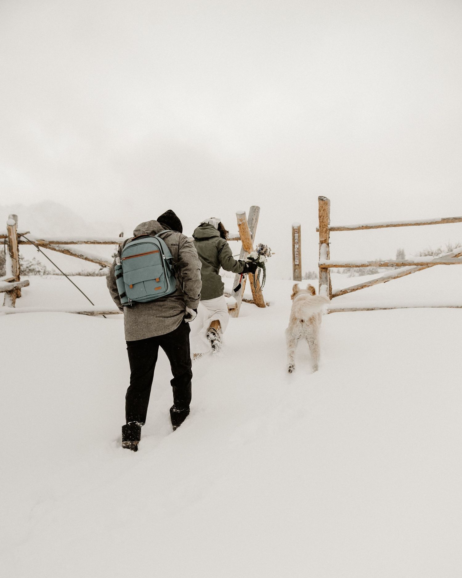 Two figures hike through a snowy winter landscape with dogs following behind wooden fence posts.