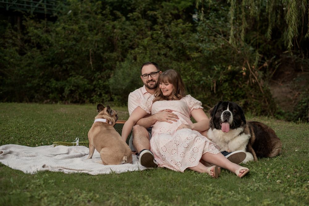 Pregnant couple sitting on blanket in park with French Bulldog and Saint Bernard dogs during outdoor maternity photo session.