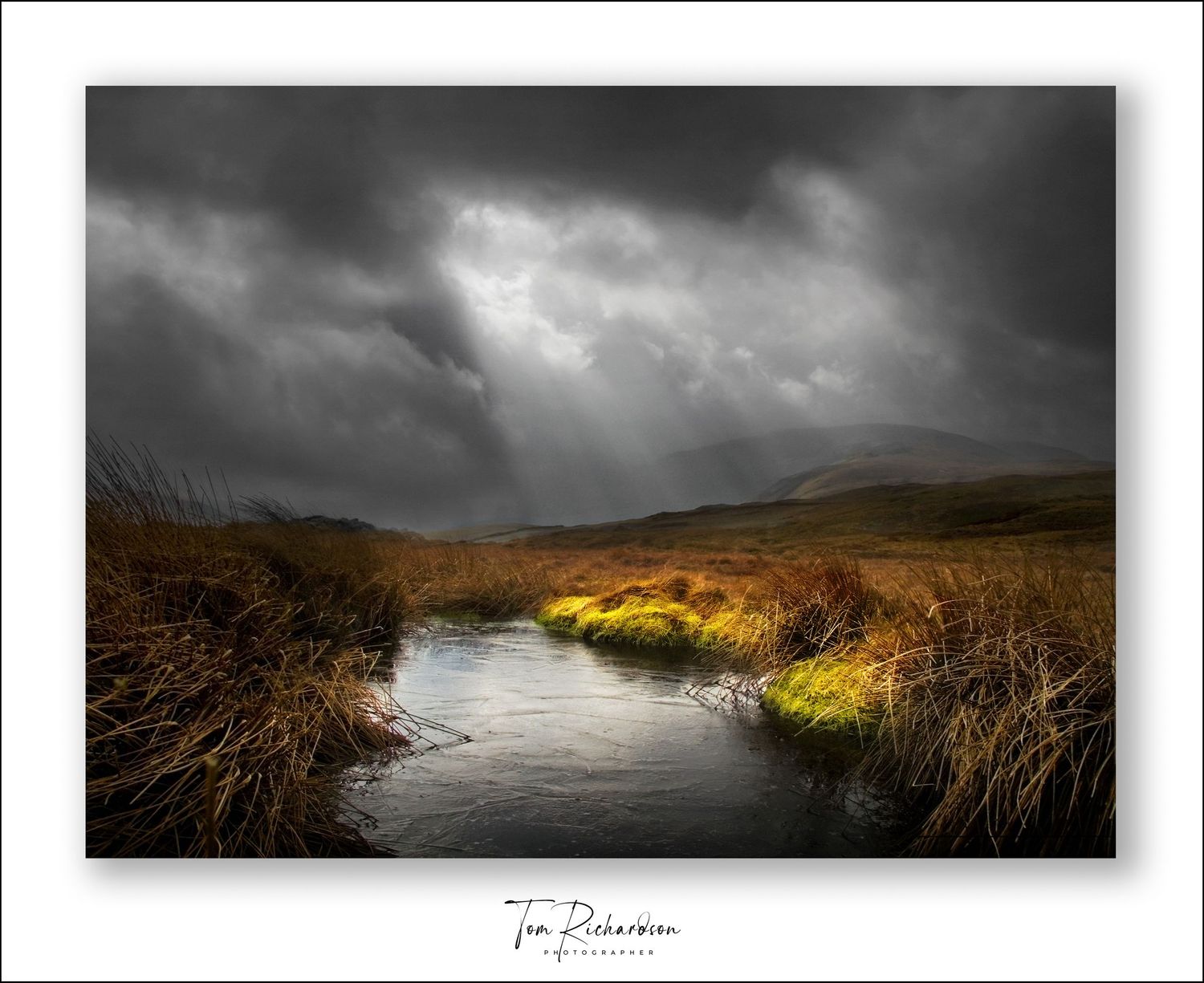 On Mardale Common