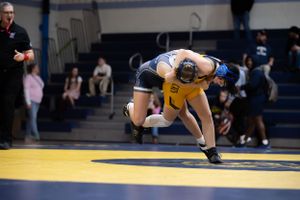 Girl Wrestling