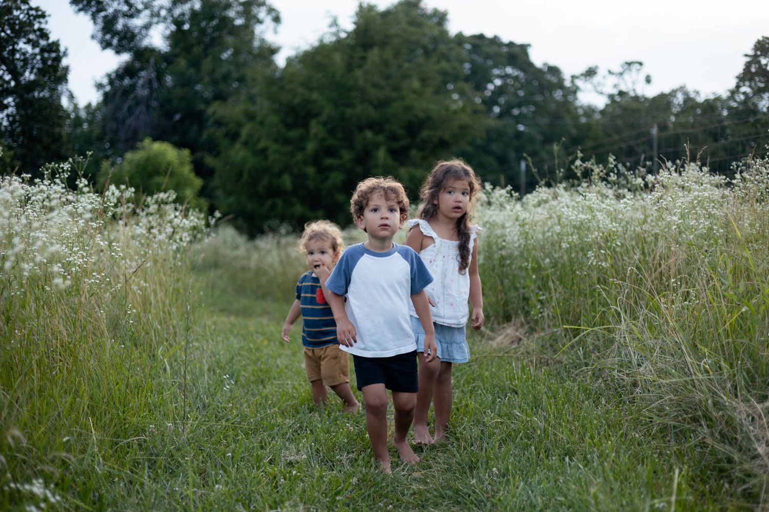 springfield mo maternity photographer, ozark missouri