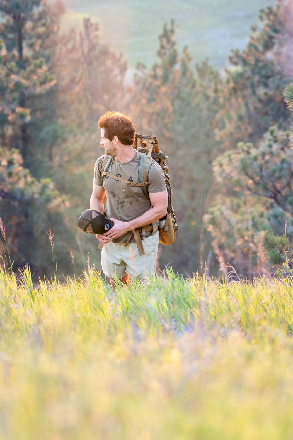 A hiker walks through a sunlit meadow of tall grass with pine trees in the background during golden hour.
