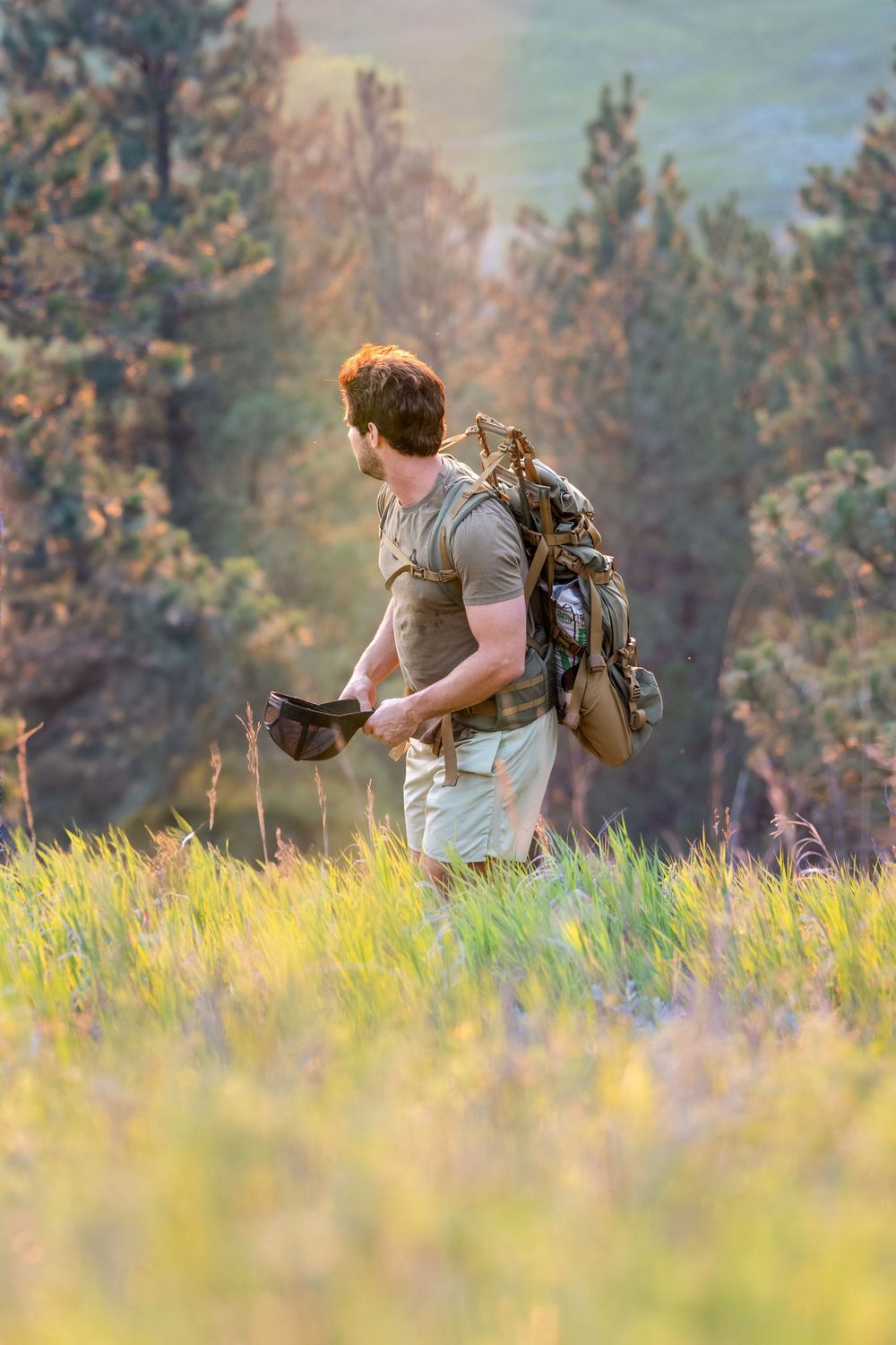 Hiker with backpack walking through sunlit mountain meadow with pine trees in background during golden hour.