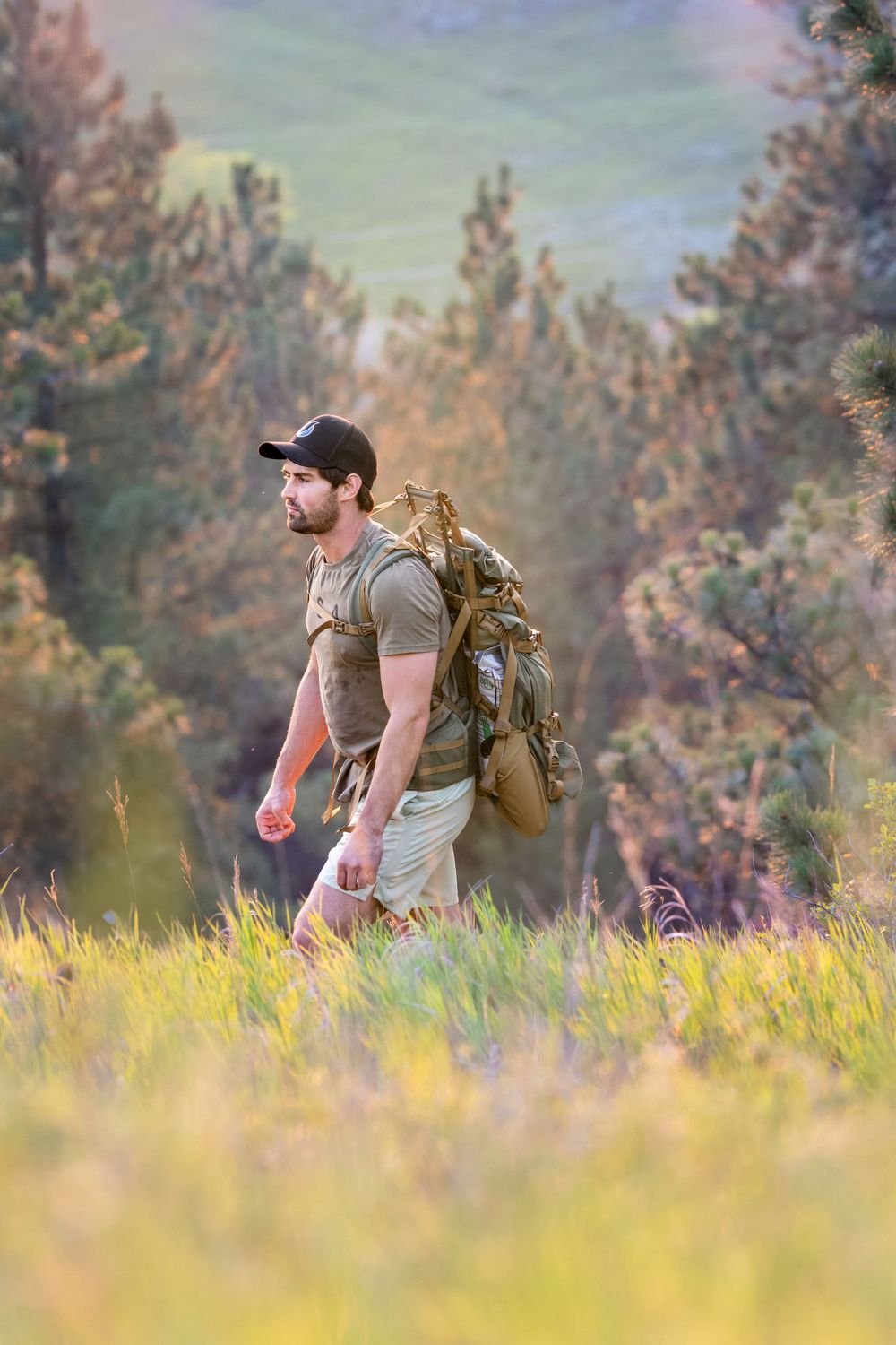 A hiker with a backpack walks through a golden meadow during sunset with evergreen trees in the background.