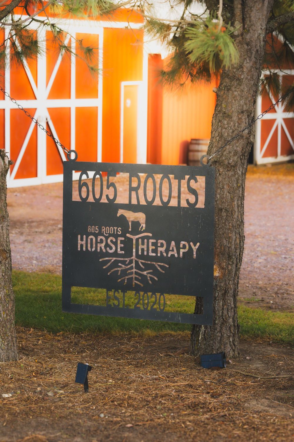 Rustic wooden signs for horse therapy and riding services hang from trees at sunset with an orange barn in background.