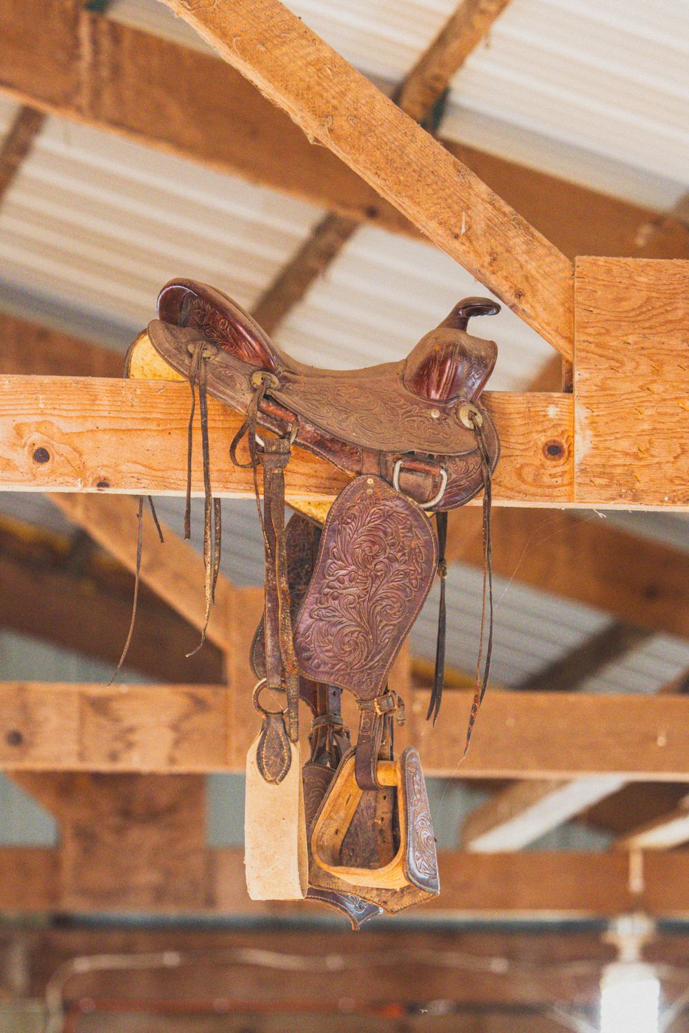 Western leather saddles displayed on wooden beams in a rustic barn ceiling setting.