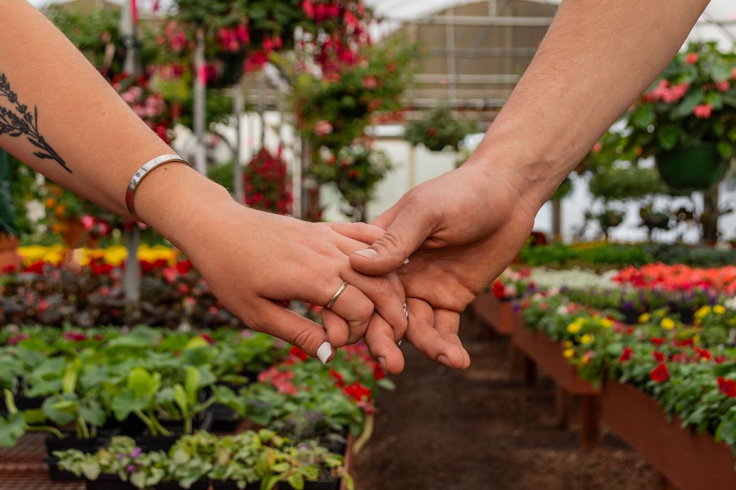 Two hands tenderly clasped together in a greenhouse with red flowers.