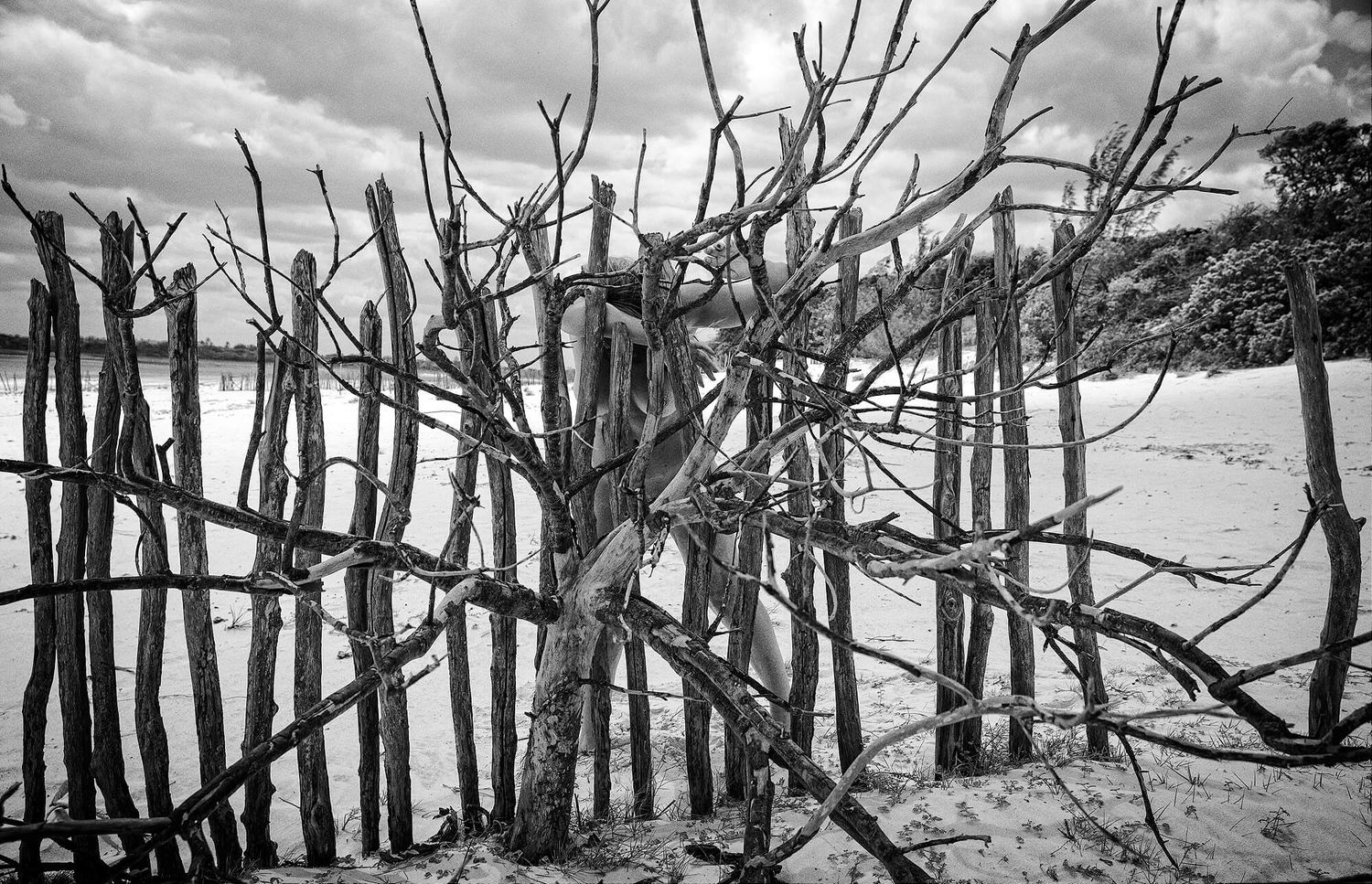 A stark black and white photograph shows a bare tree and wooden fence posts against a moody clouded sky.