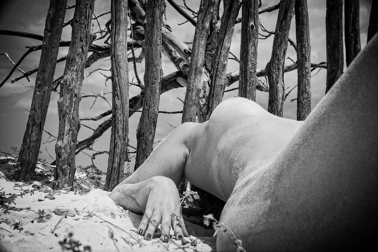 Black and white artistic portrait of a body lying in snow beneath winter trees in a forest.