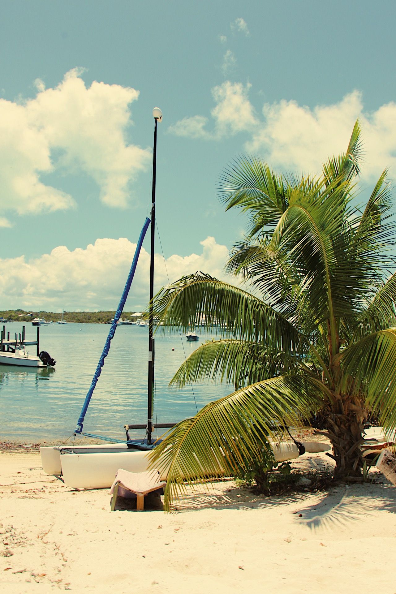 Palm tree and small sailboat on sandy tropical beach with calm waters in background.