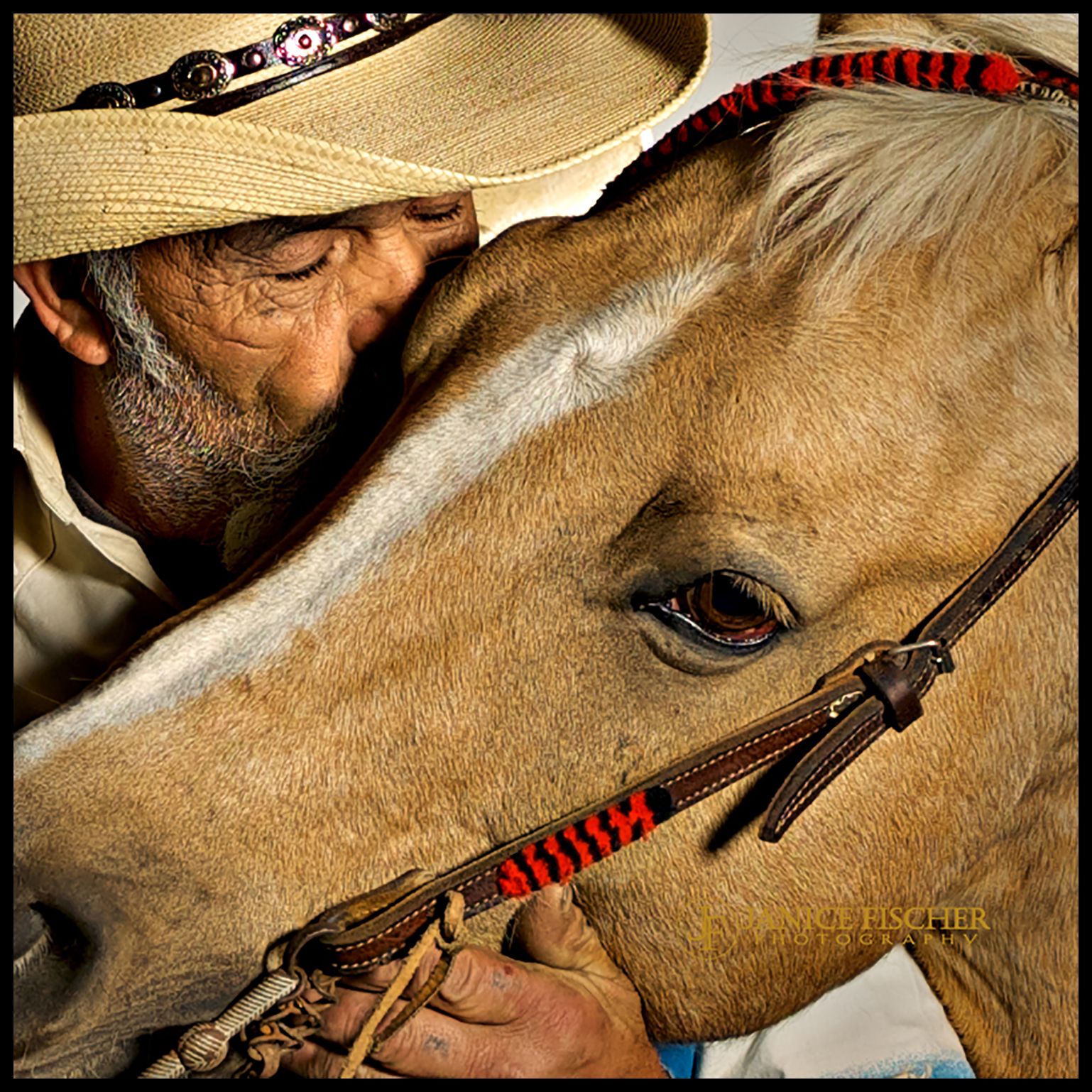 Intimate Photograph of Horse and Rider