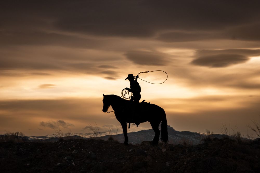 A cowboy on horseback swings a lasso against a golden sunset sky.