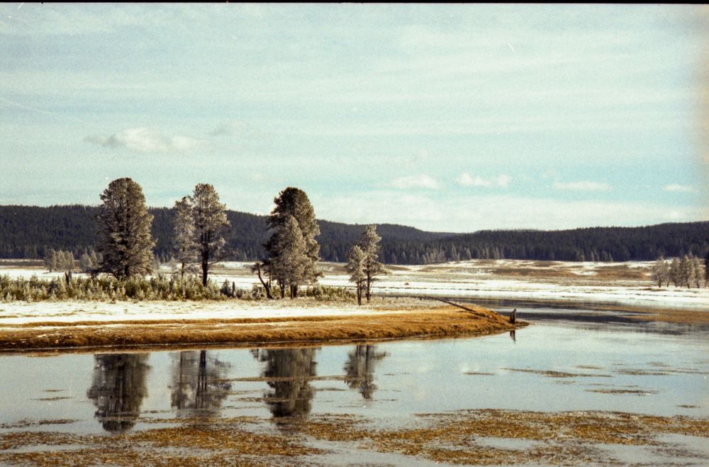 Trees line a snowy peninsula jutting into calm waters under a winter sky.