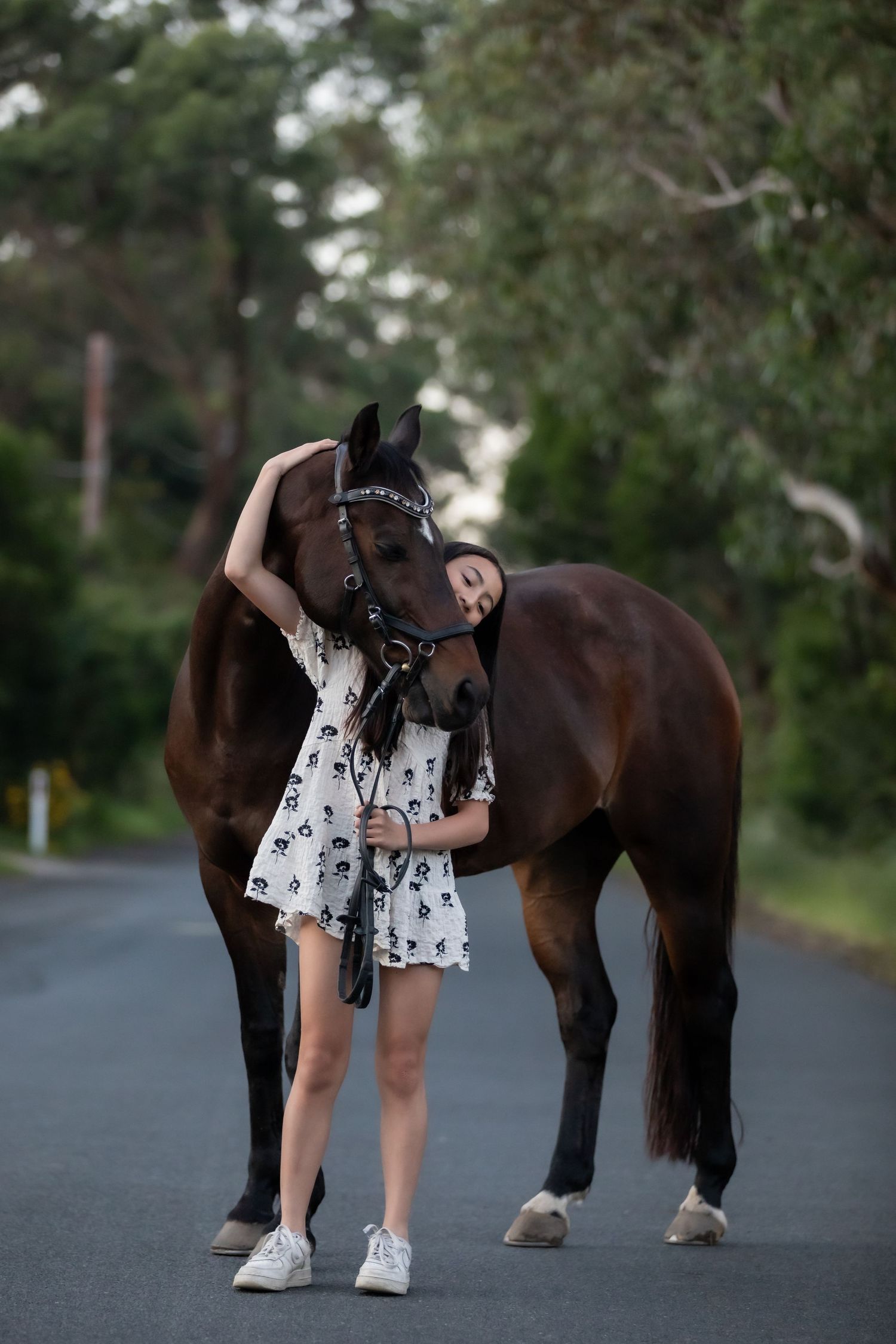 Equestrian photography.