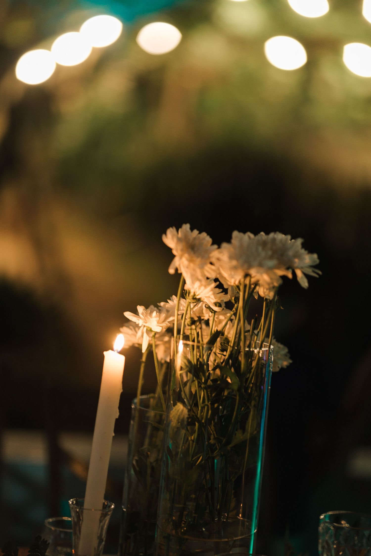 White daisies in vase with glowing candle and bokeh lights creating romantic ambiance.