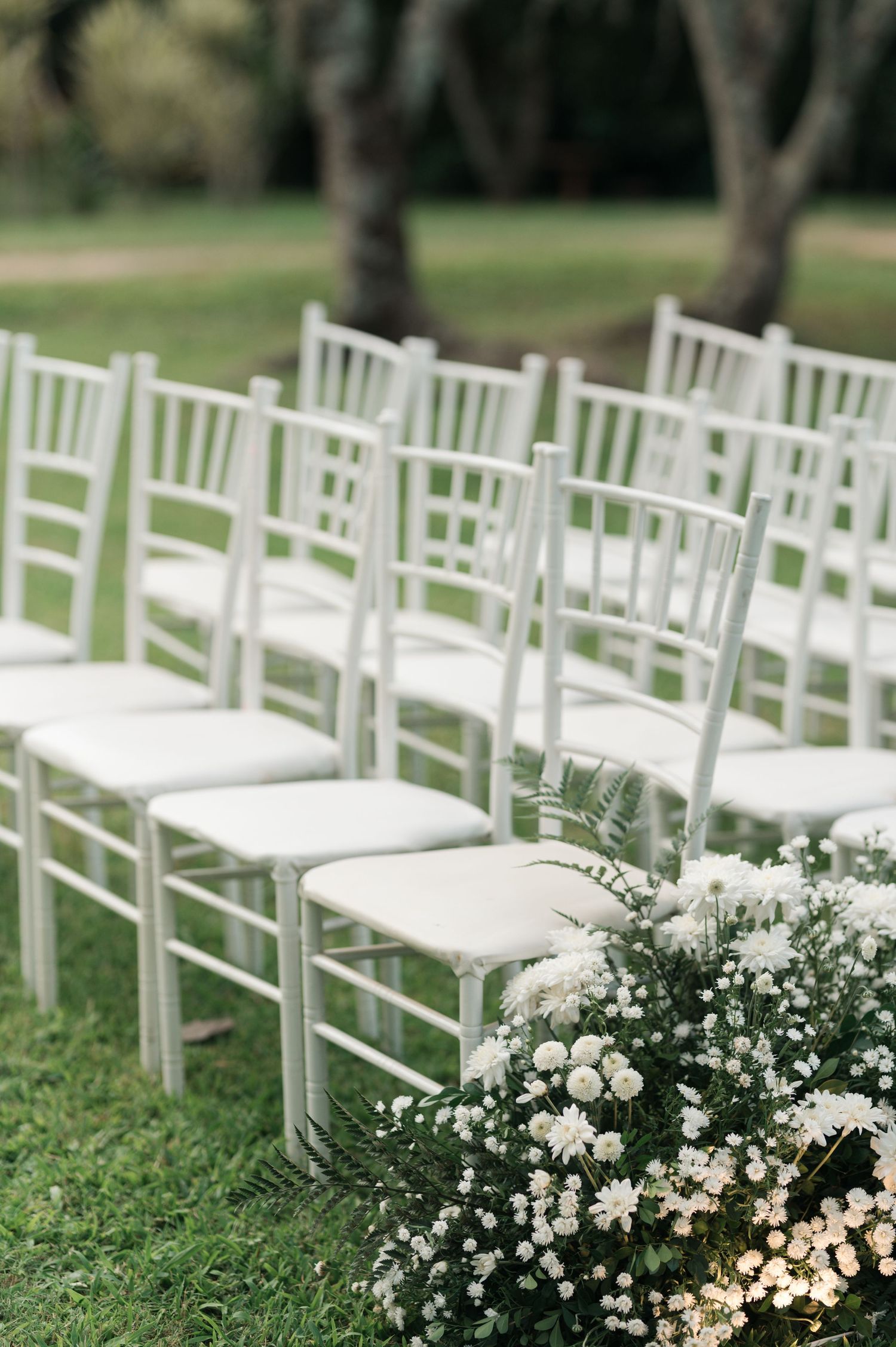 White Chiavari chairs arranged in rows with baby's breath flowers lining the aisle.