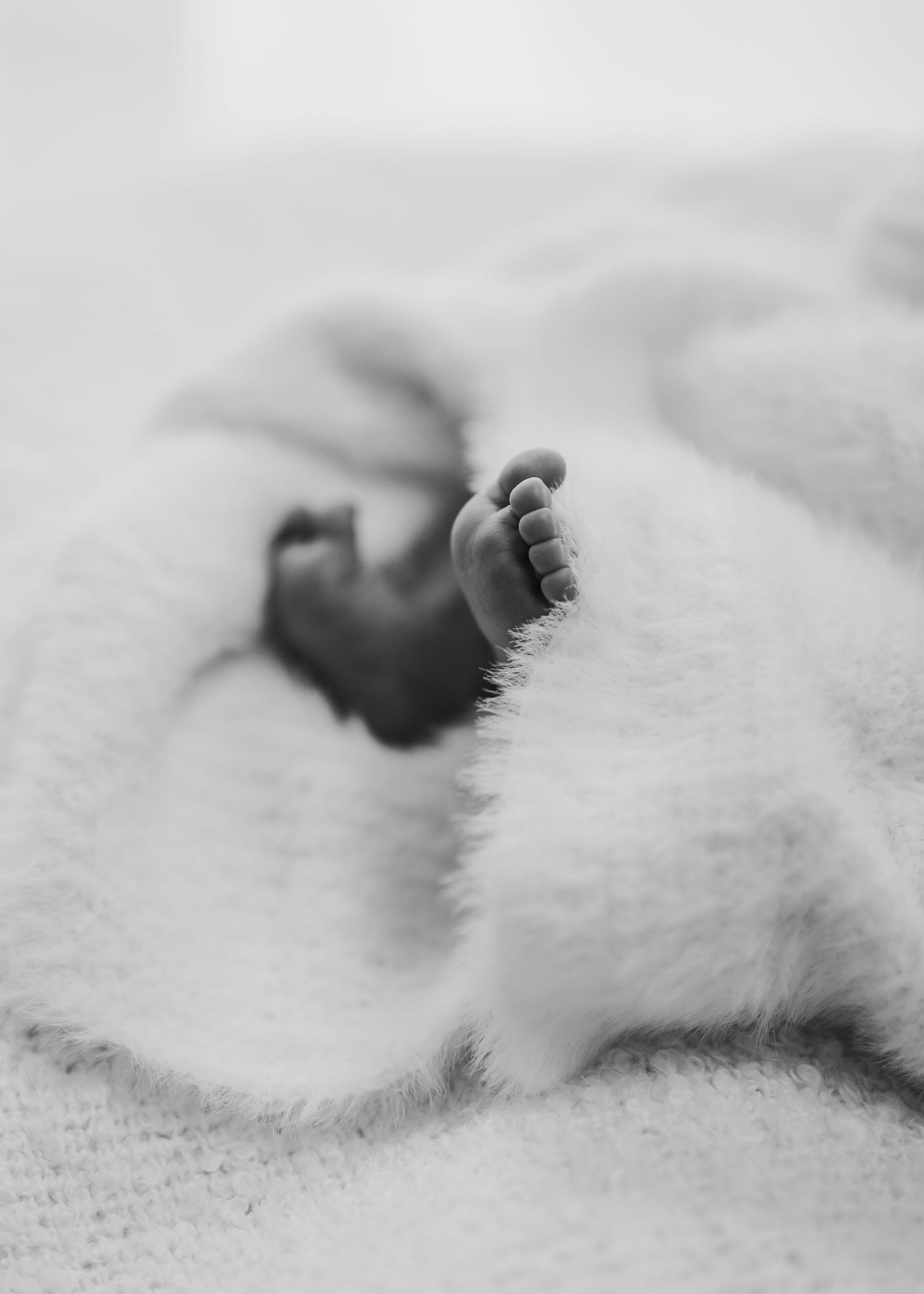 Close up black and white image of a newborn baby's feet, comfortably tangled in a soft baby blanket