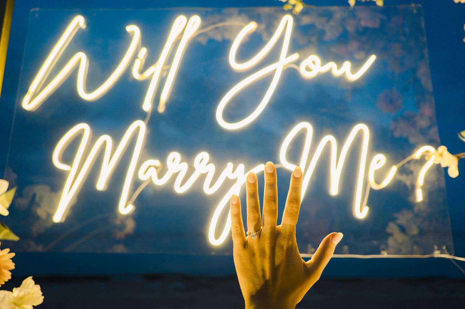 bali proposal